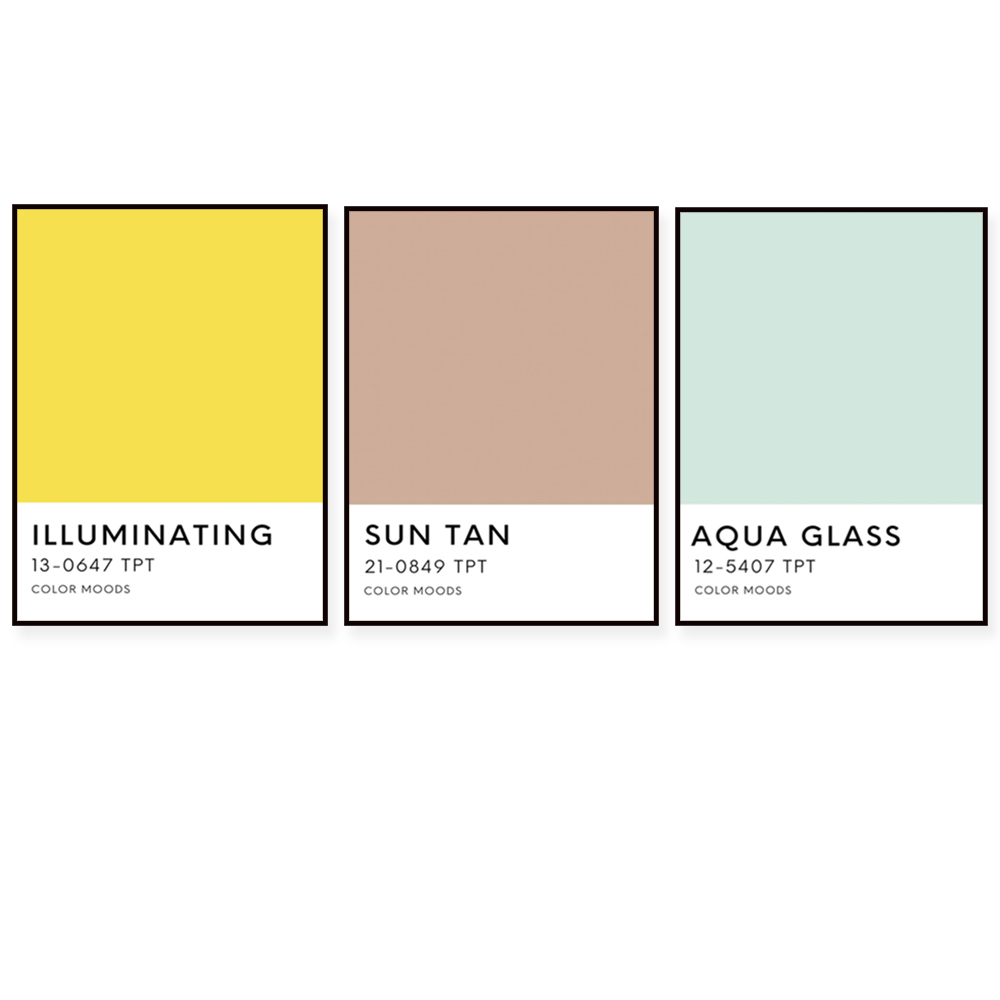 Home Decor Color Palettes - 선샤인 스테이트 팔레트 컬러 프린트, 타이포그래피,